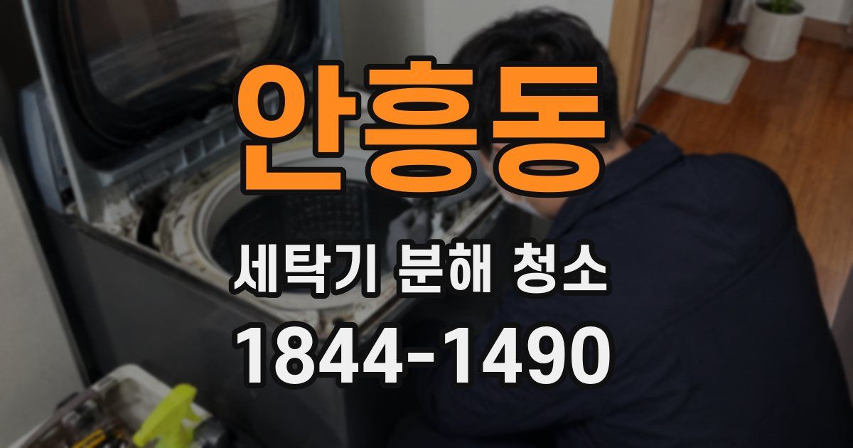 안흥동 세탁기 분해 청소