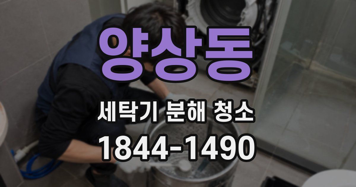 양상동 세탁기 분해 청소
