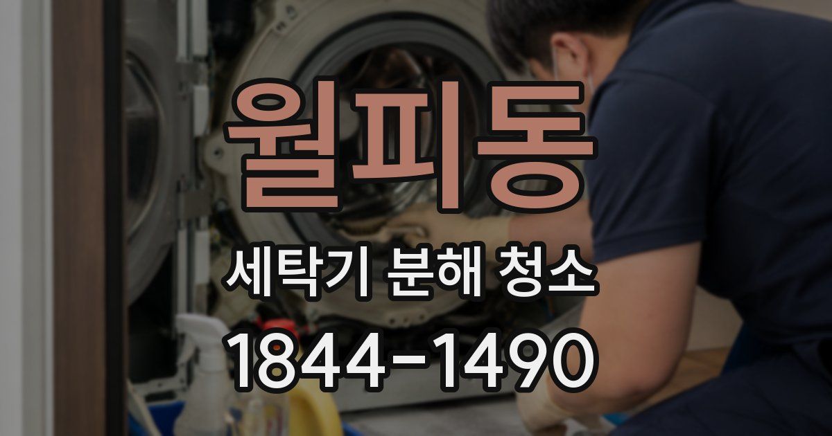 월피동 세탁기 분해 청소
