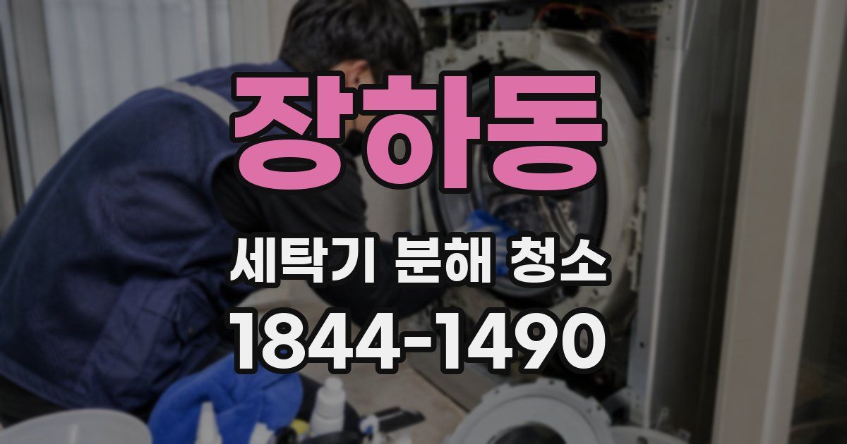 장하동 세탁기 분해 청소