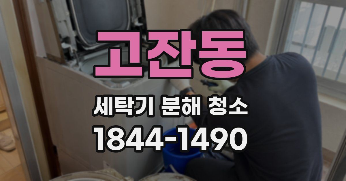 고잔동 세탁기 분해 청소
