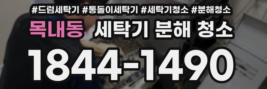 목내동 세탁기 분해 청소