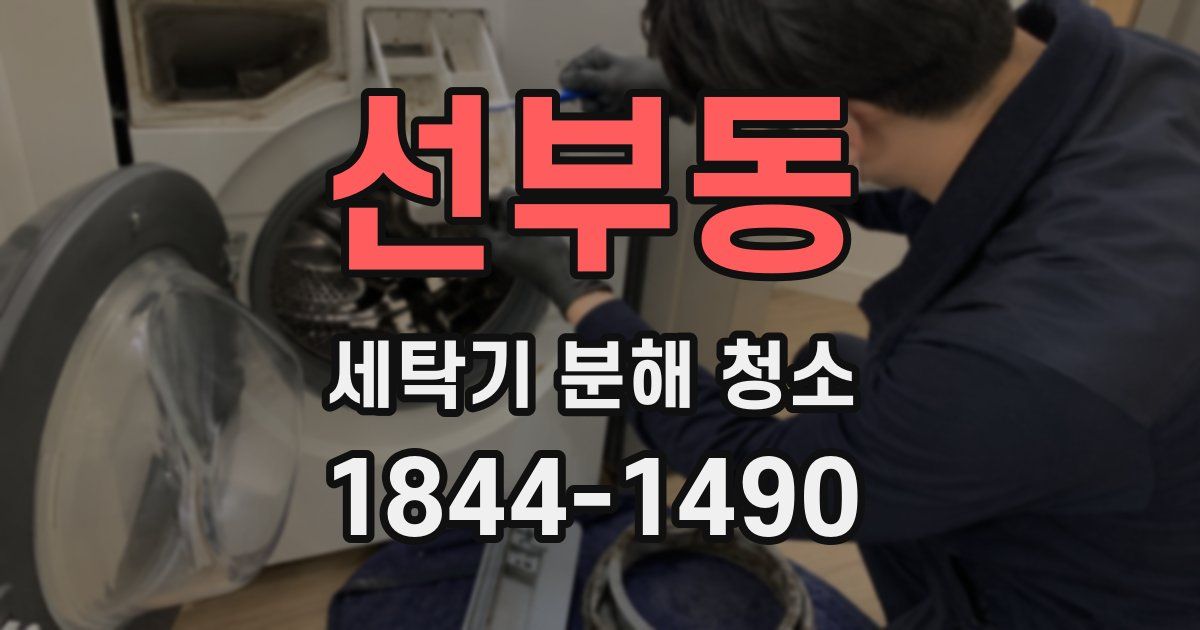 선부동 세탁기 분해 청소