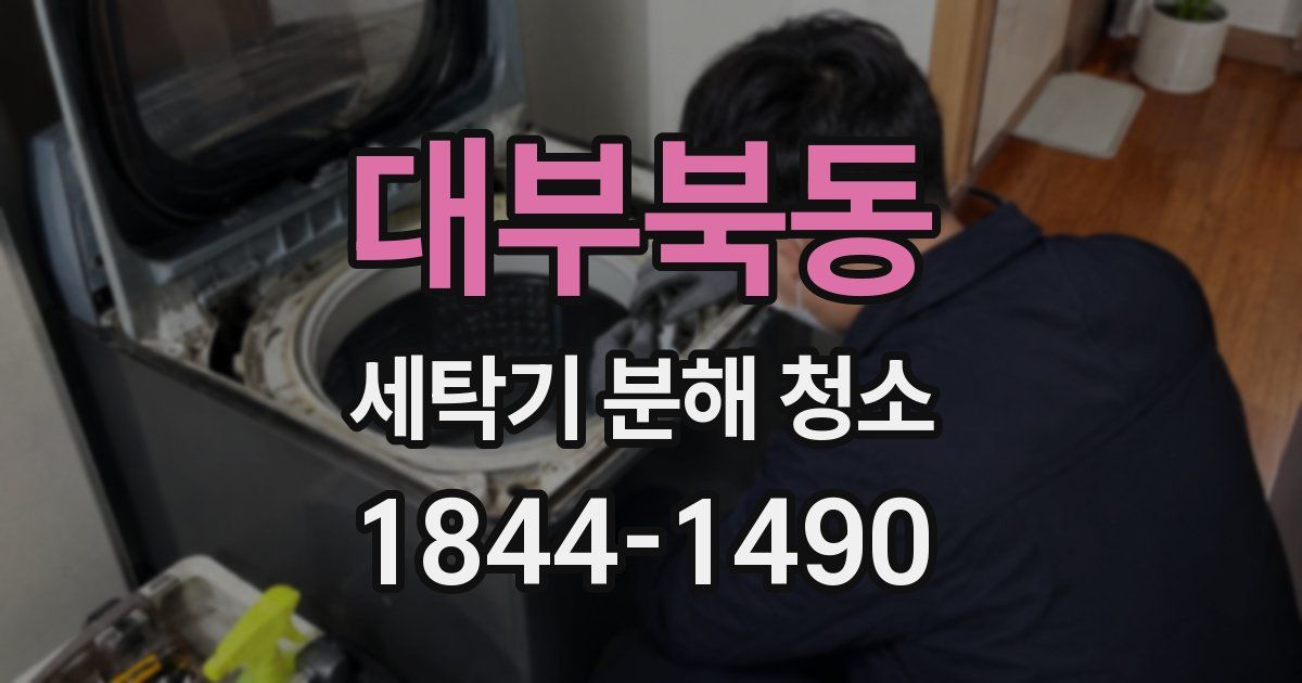 대부북동 세탁기 분해 청소