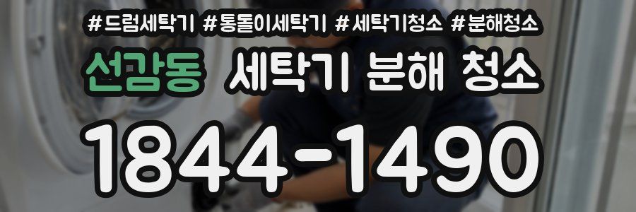 선감동 세탁기 분해 청소