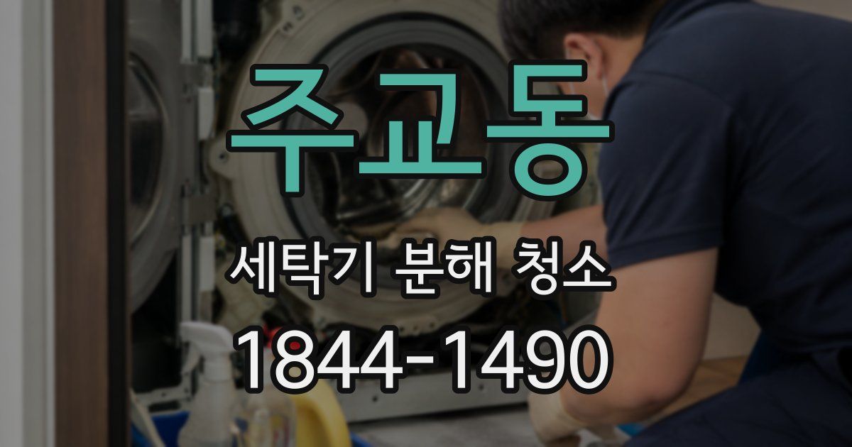 주교동 세탁기 분해 청소