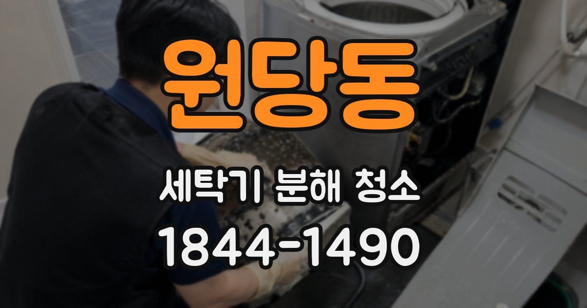 원당동 세탁기 분해 청소