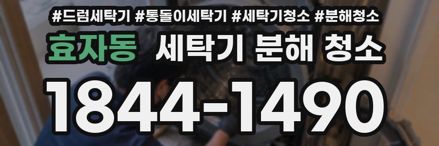 효자동 세탁기 분해 청소