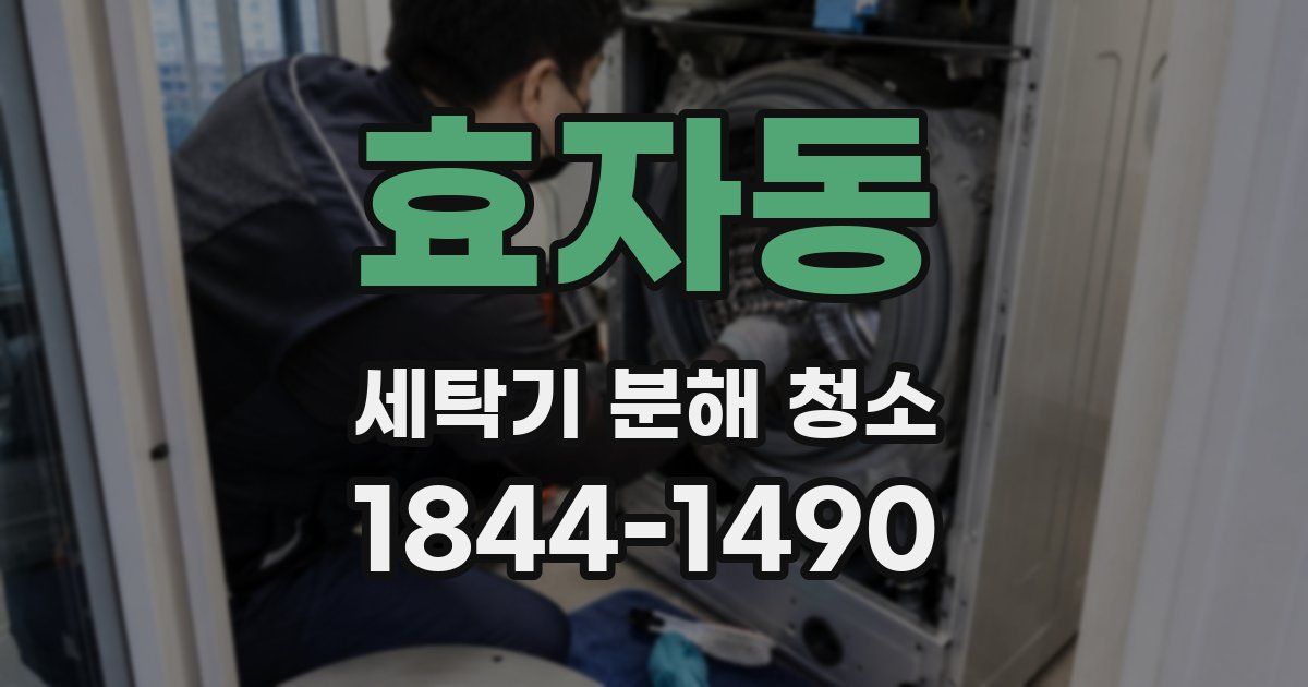 효자동 세탁기 분해 청소