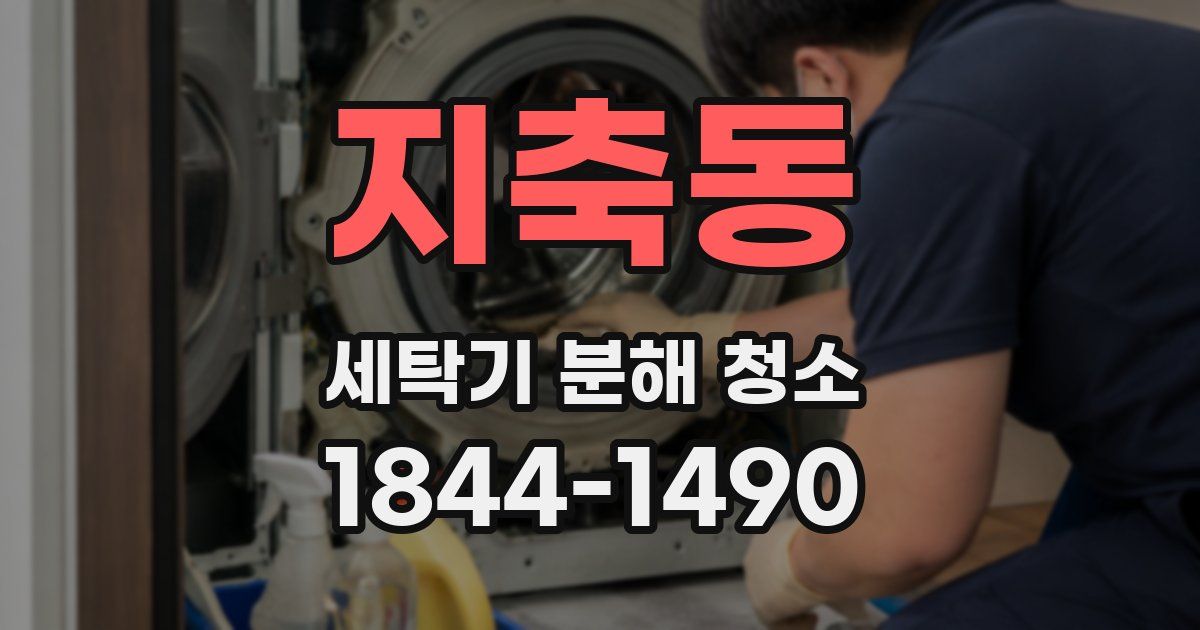 지축동 세탁기 분해 청소