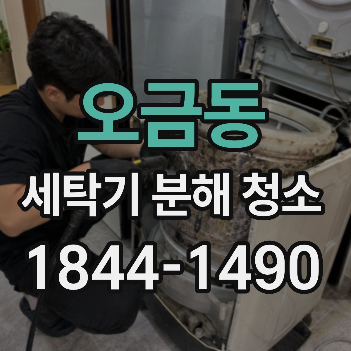 오금동 세탁기 분해 청소