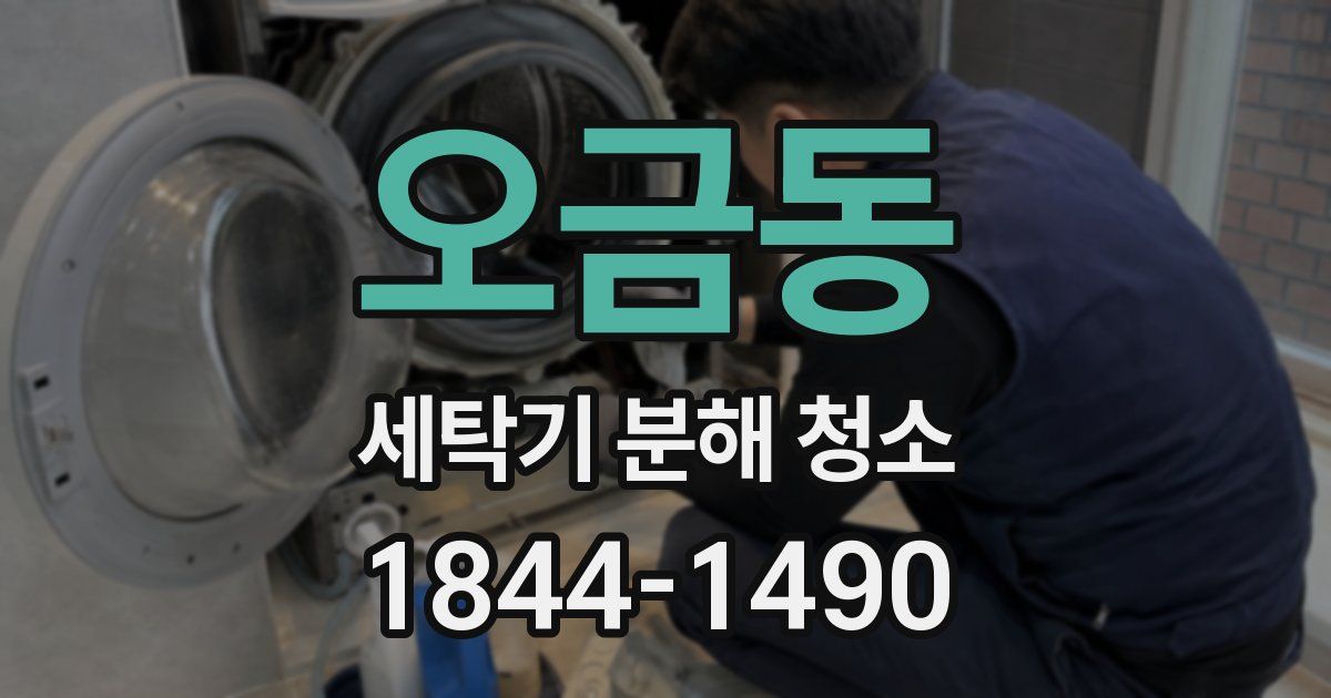 오금동 세탁기 분해 청소