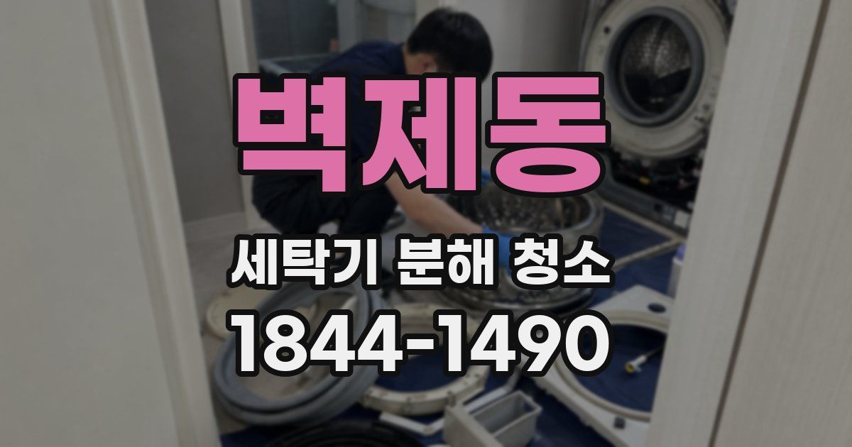 벽제동 세탁기 분해 청소
