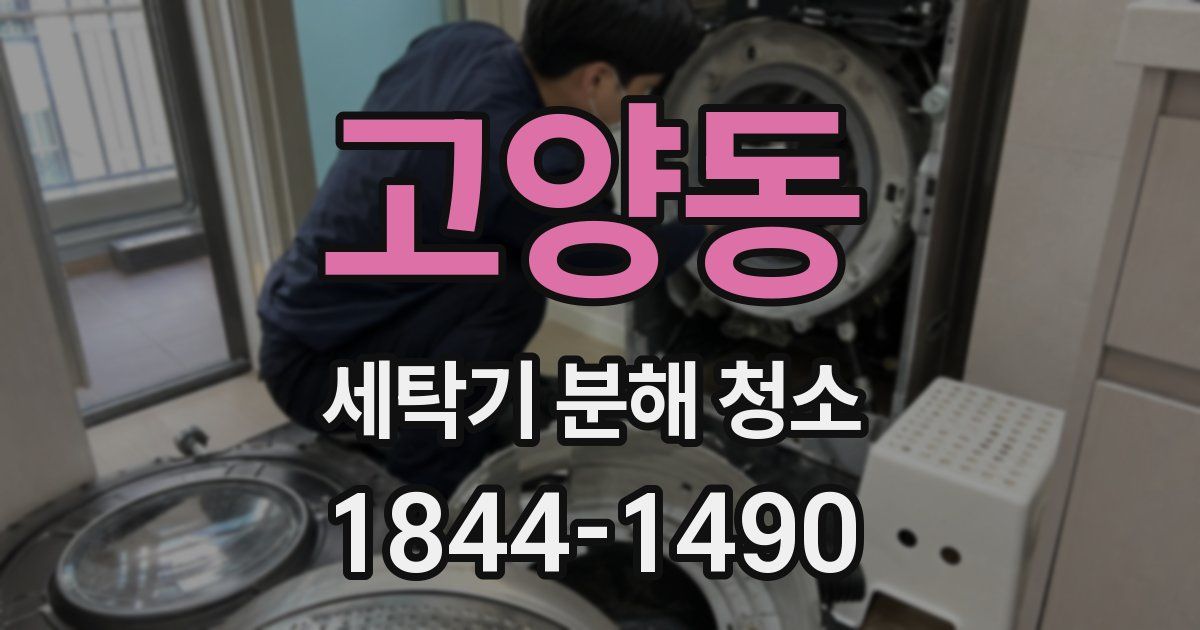 고양동 세탁기 분해 청소