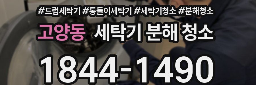 고양동 세탁기 분해 청소