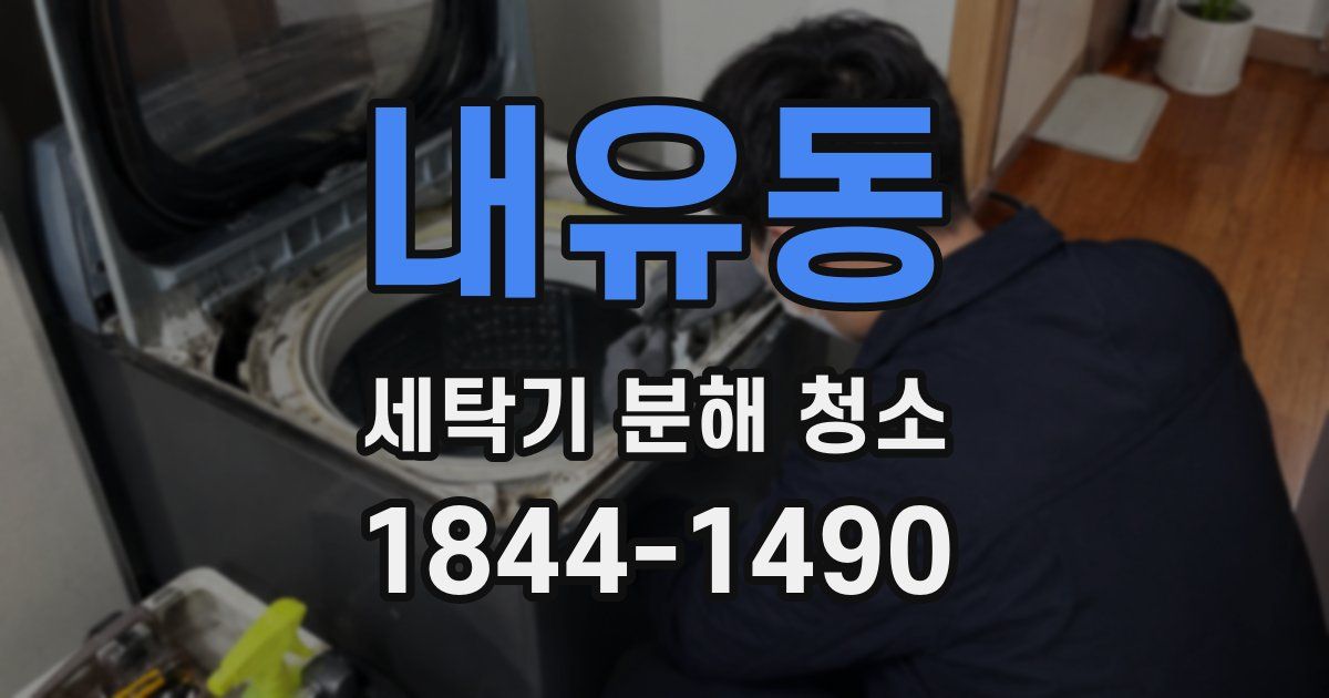 내유동 세탁기 분해 청소