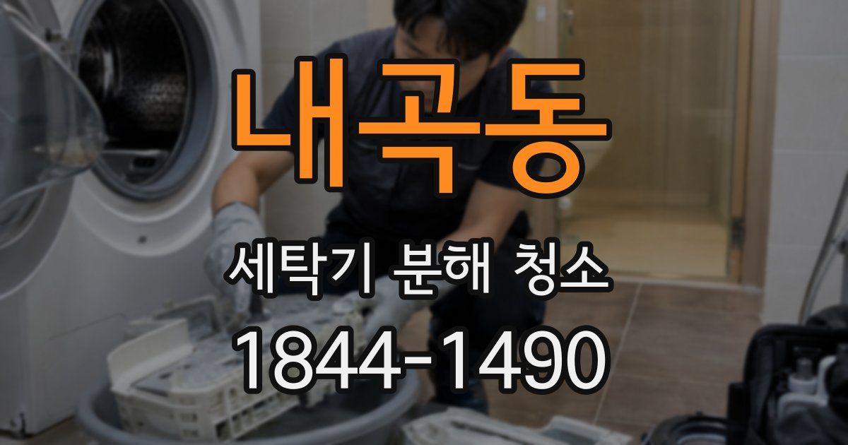 내곡동 세탁기 분해 청소