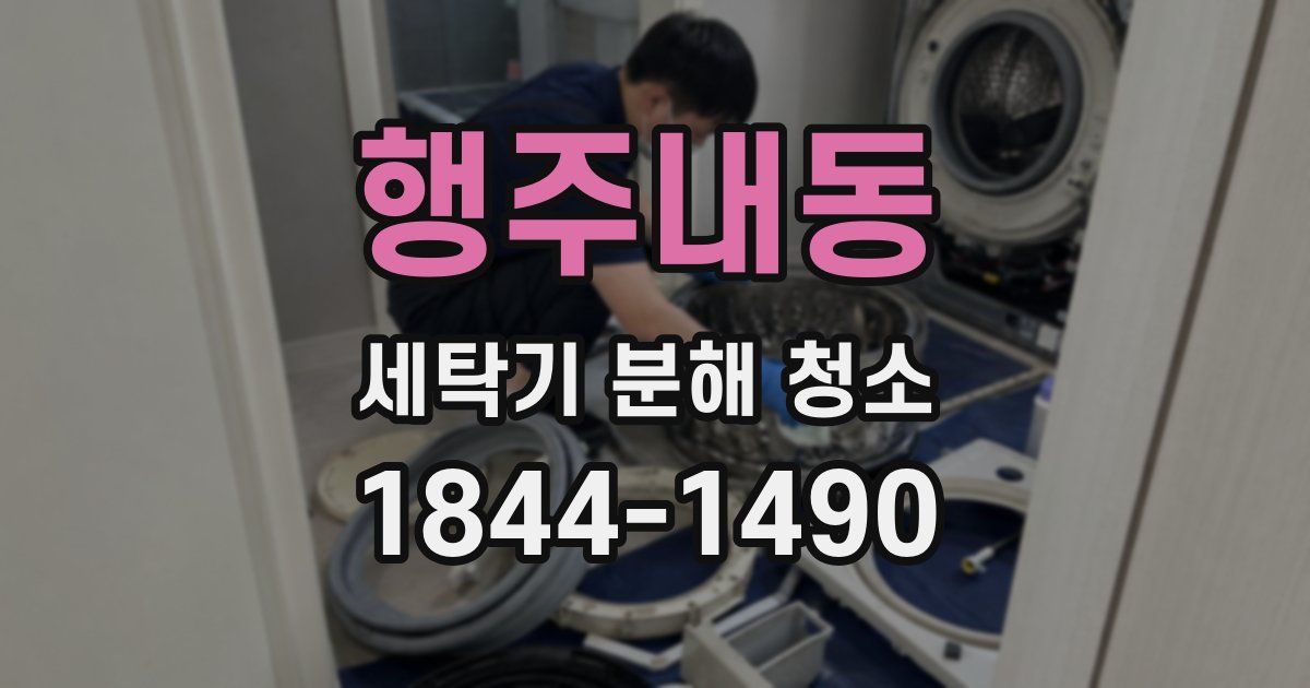 행주내동 세탁기 분해 청소