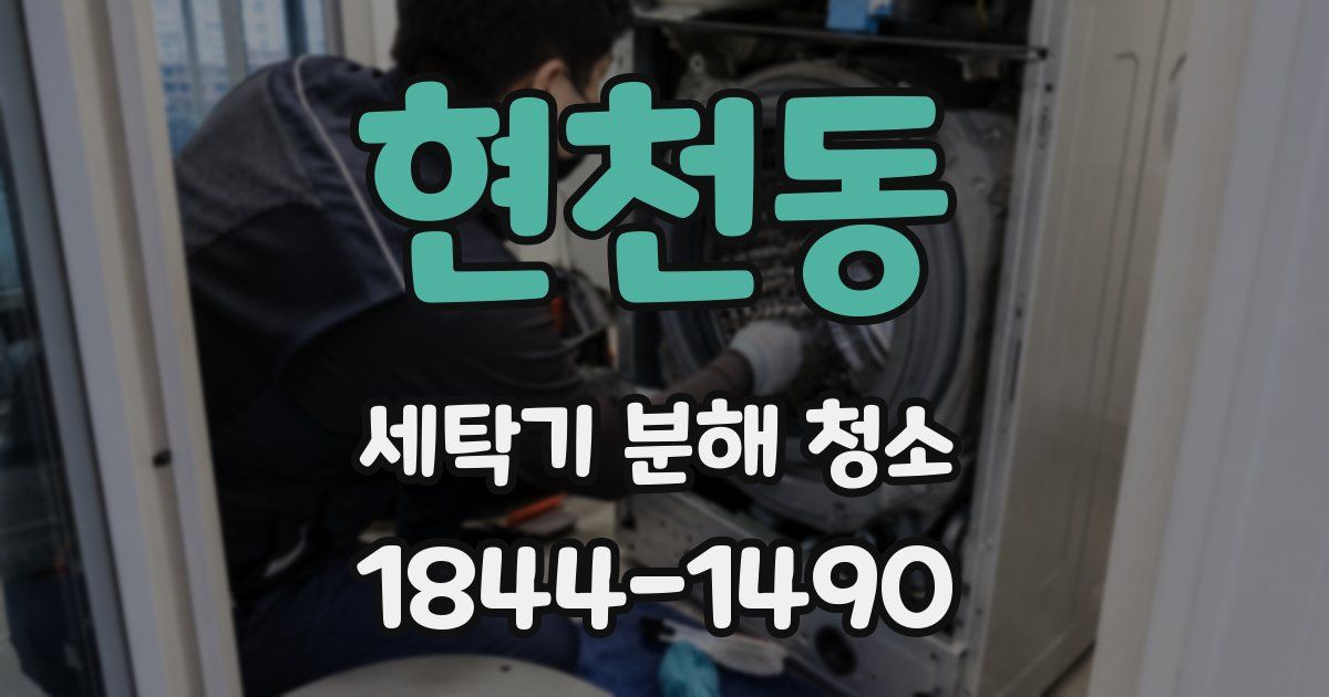 현천동 세탁기 분해 청소