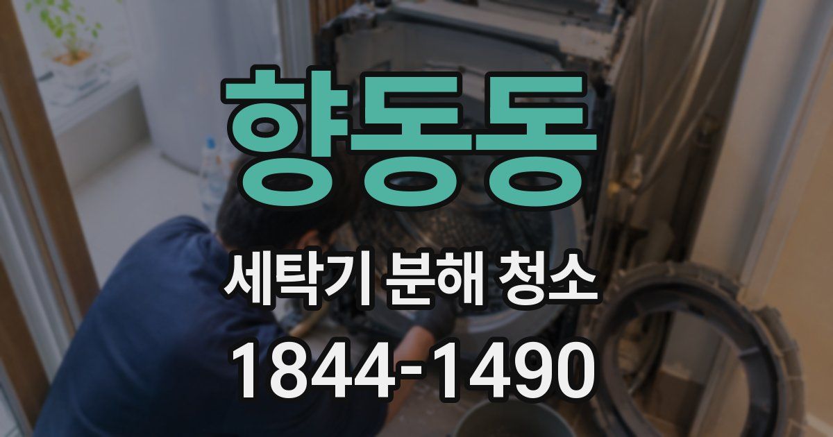 향동동 세탁기 분해 청소