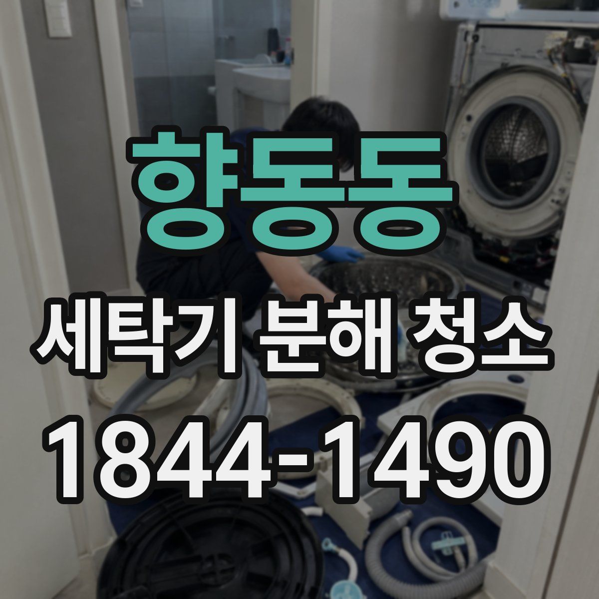 향동동 세탁기 분해 청소
