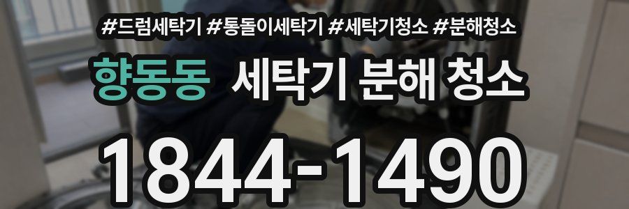 향동동 세탁기 분해 청소
