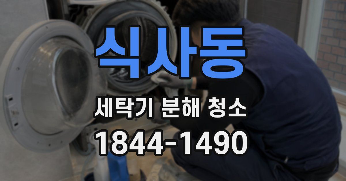 식사동 세탁기 분해 청소