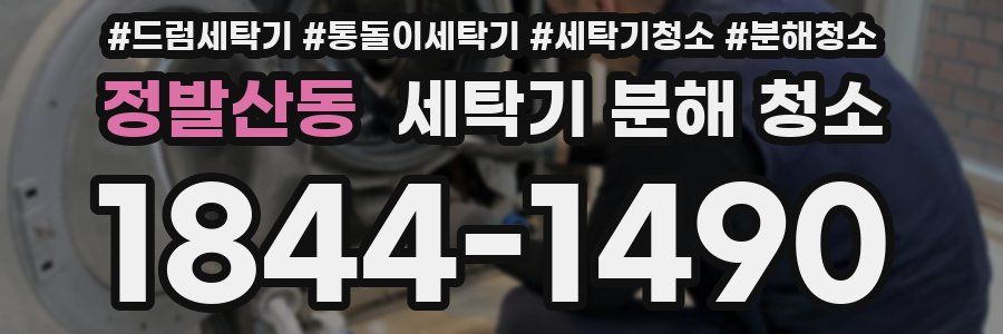정발산동 세탁기 분해 청소