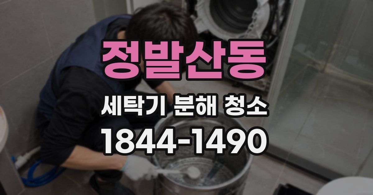 정발산동 세탁기 분해 청소