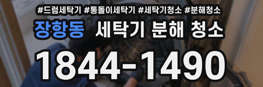 장항동 세탁기 분해 청소