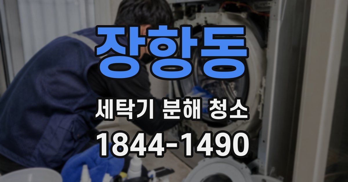 장항동 세탁기 분해 청소