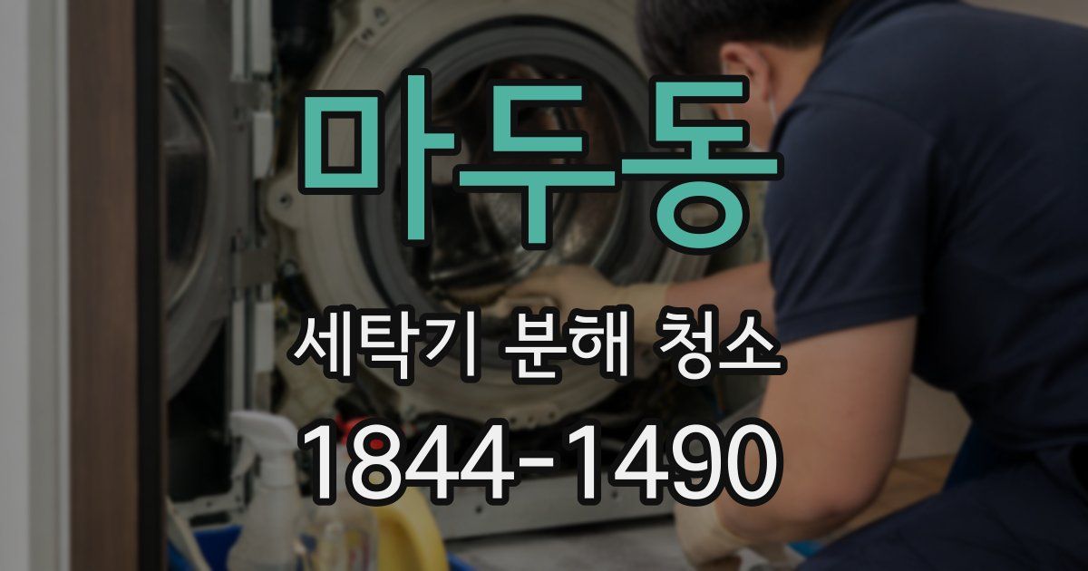 마두동 세탁기 분해 청소