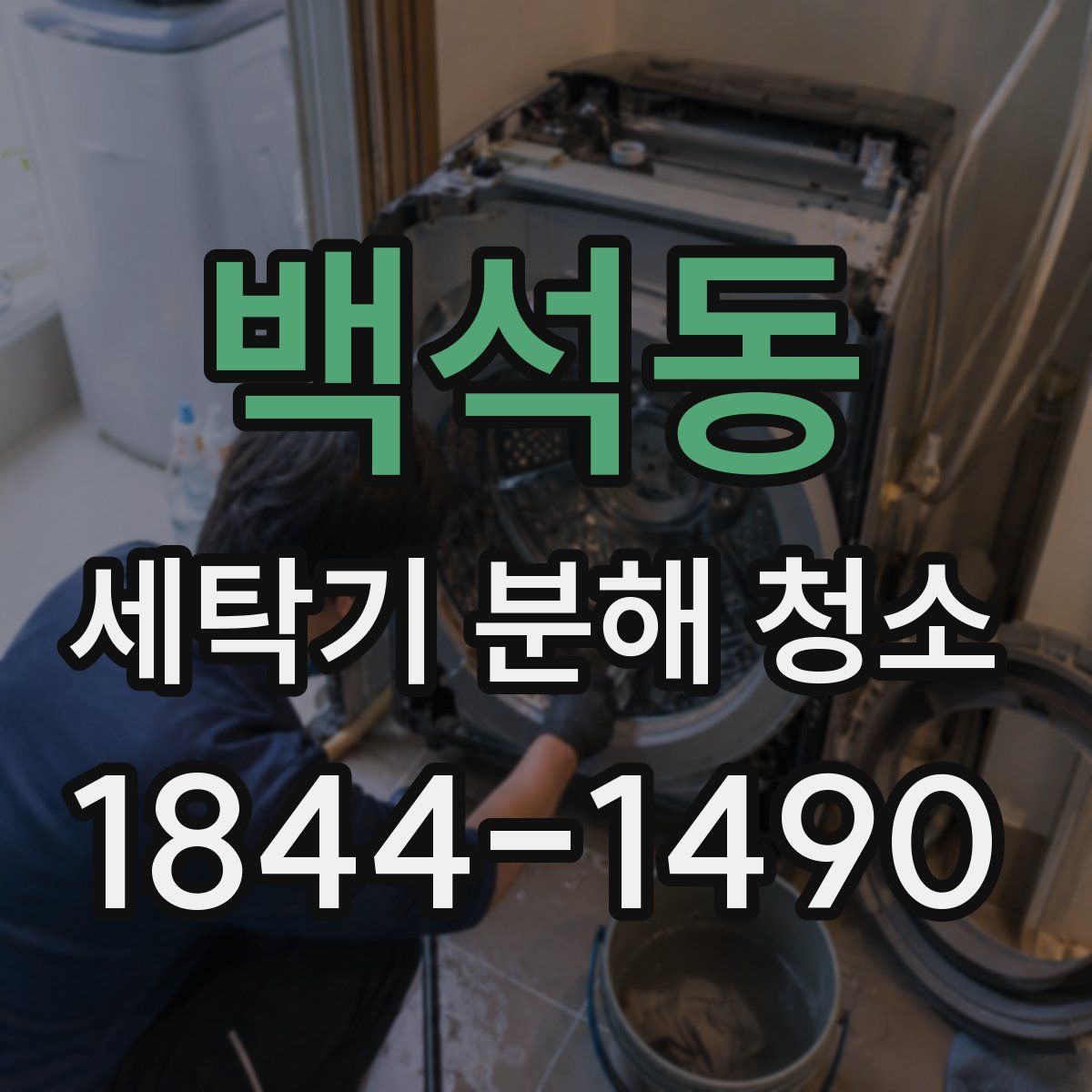 백석동 세탁기 분해 청소