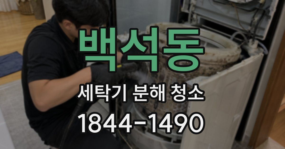 백석동 세탁기 분해 청소