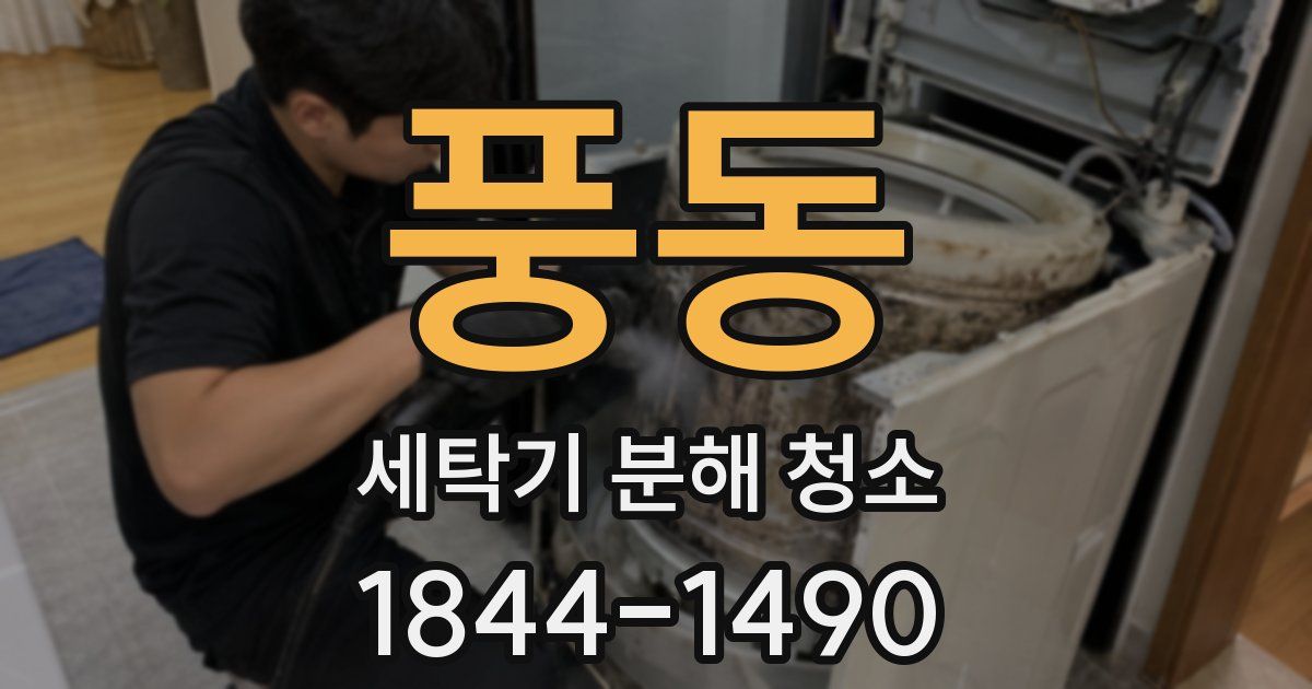 풍동 세탁기 분해 청소