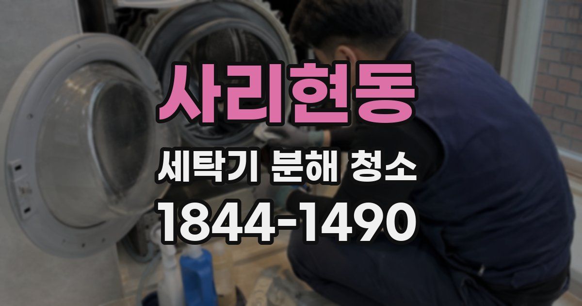 사리현동 세탁기 분해 청소