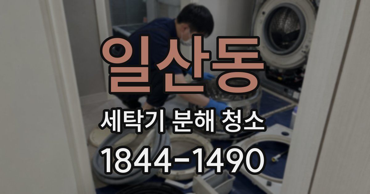 일산동 세탁기 분해 청소