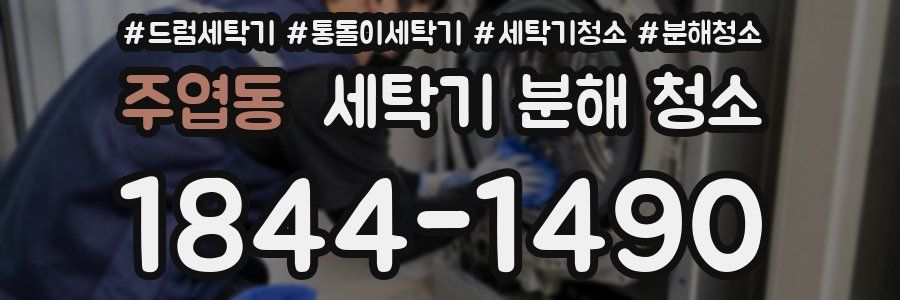 주엽동 세탁기 분해 청소