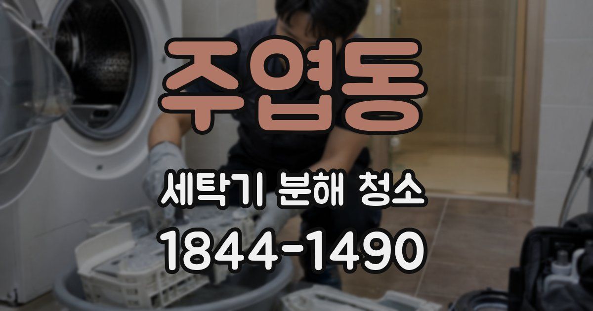 주엽동 세탁기 분해 청소