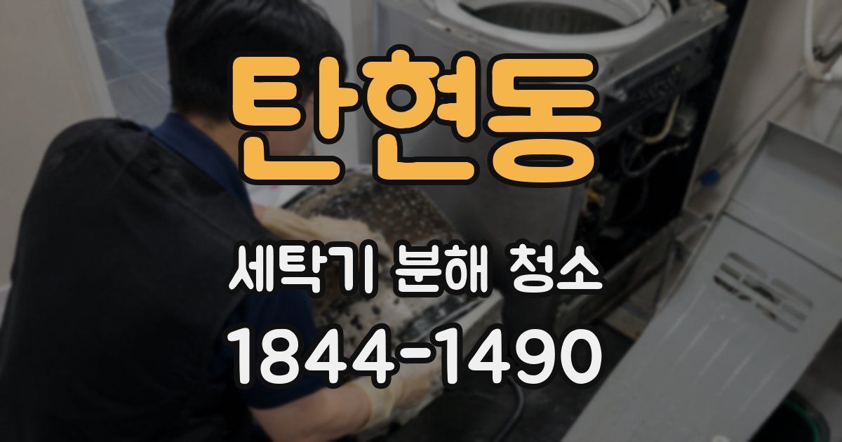 탄현동 세탁기 분해 청소
