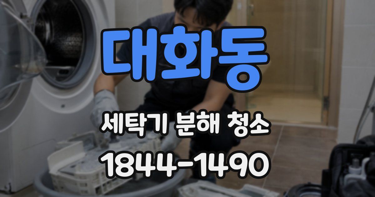 대화동 세탁기 분해 청소