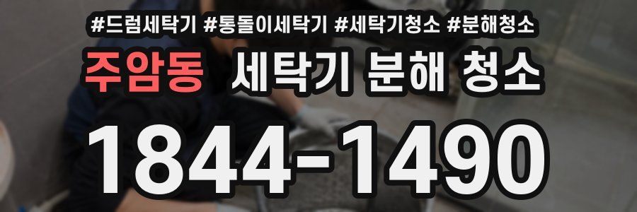 주암동 세탁기 분해 청소