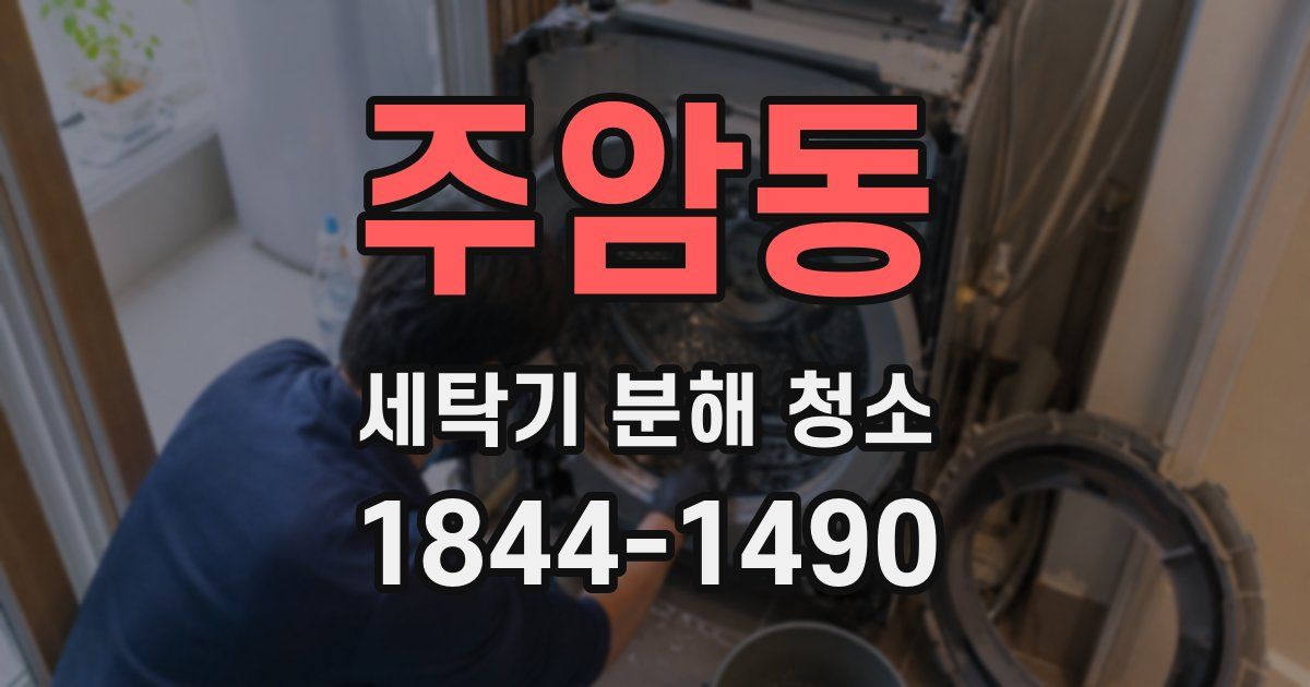주암동 세탁기 분해 청소