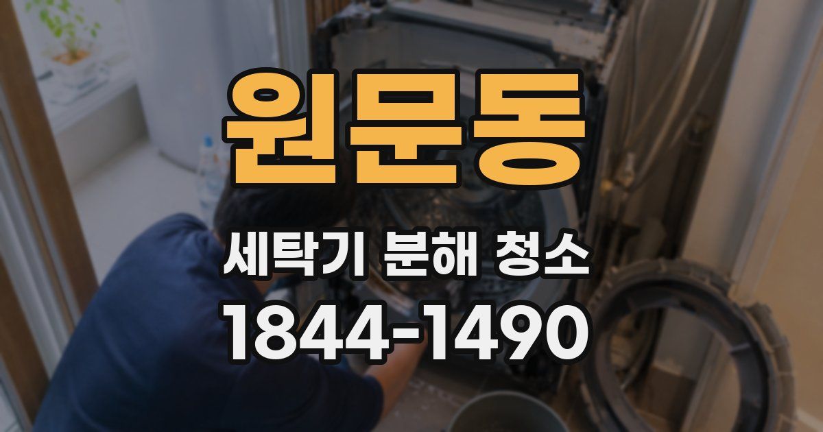 원문동 세탁기 분해 청소