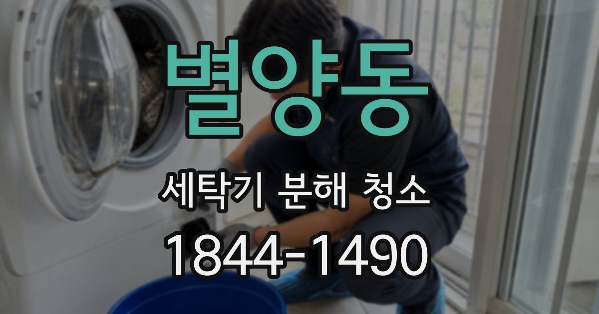 별양동 세탁기 분해 청소