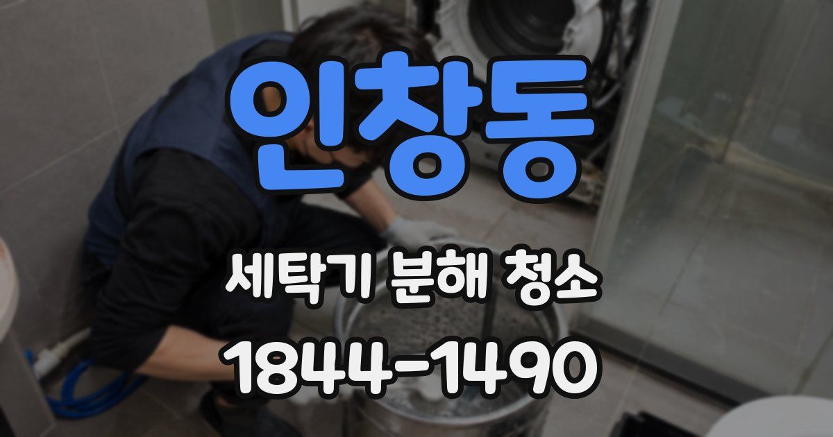 인창동 세탁기 분해 청소
