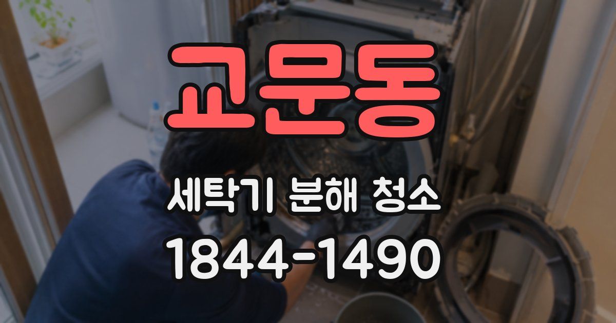 교문동 세탁기 분해 청소