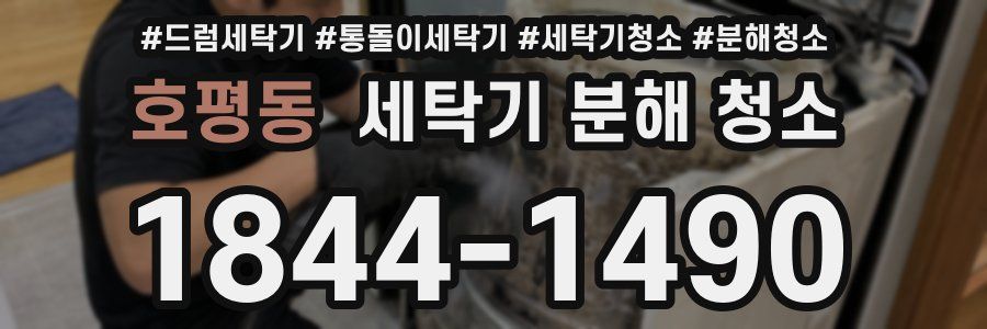 호평동 세탁기 분해 청소