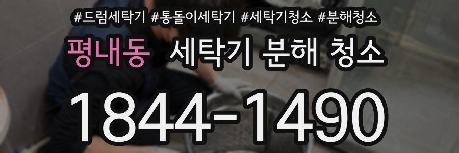 평내동 세탁기 분해 청소