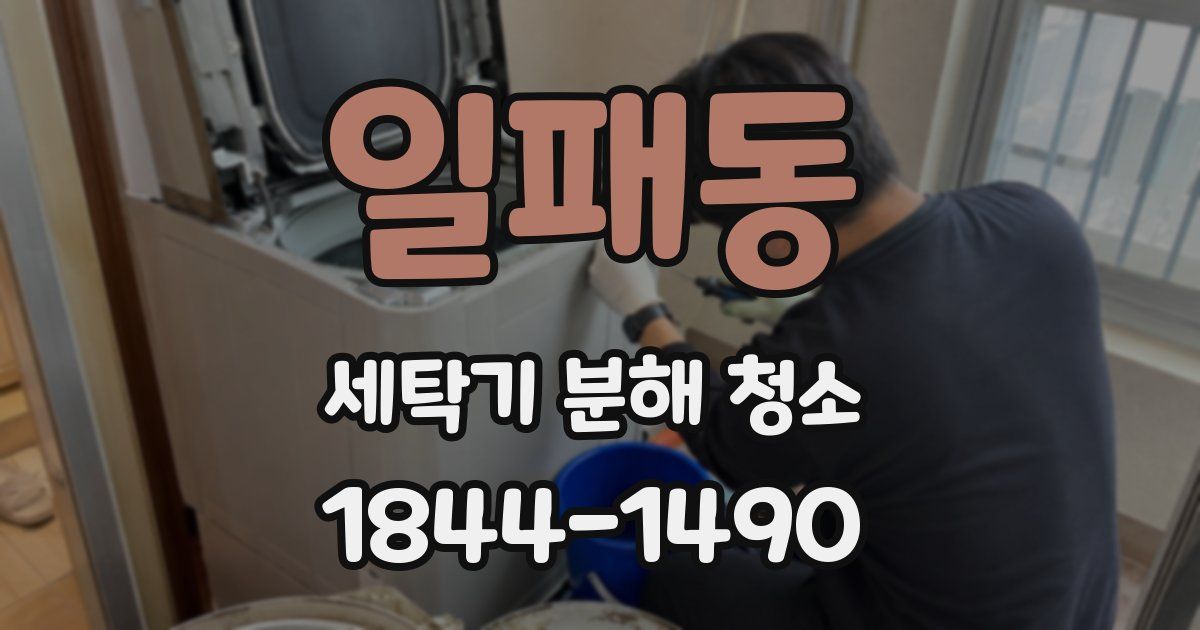 일패동 세탁기 분해 청소